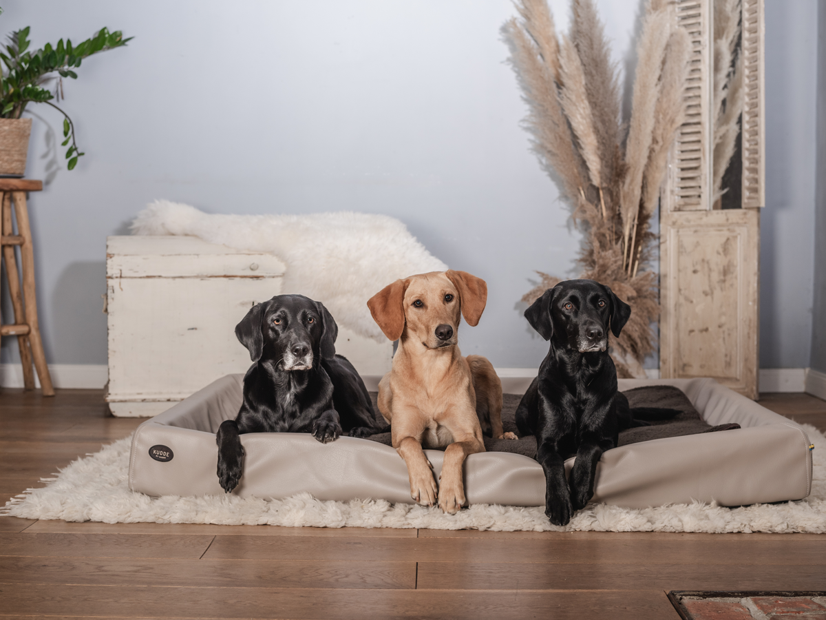 Hundebett KUDDE Kunstleder (weitere Ansicht)