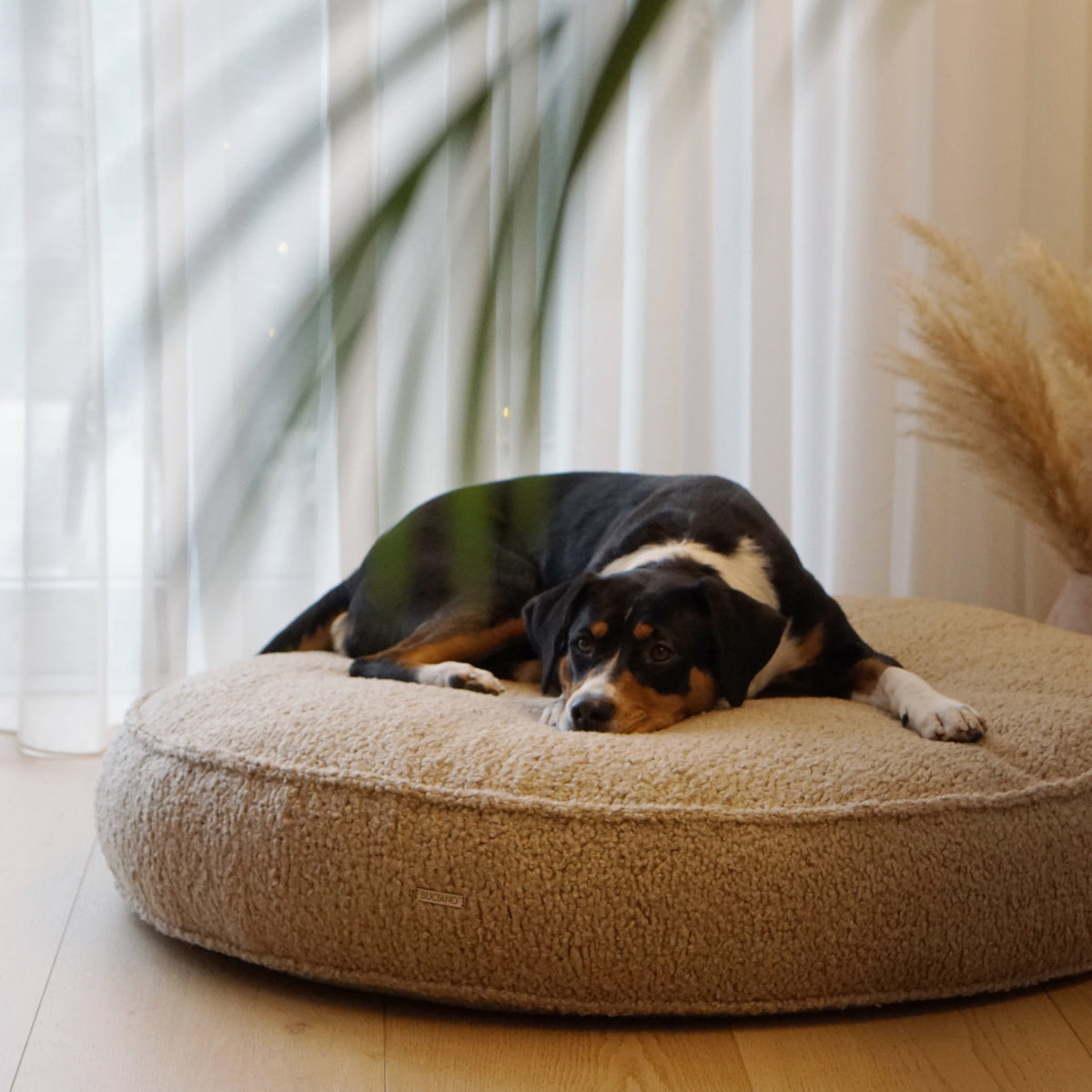 Buciano Hundekissen Onda