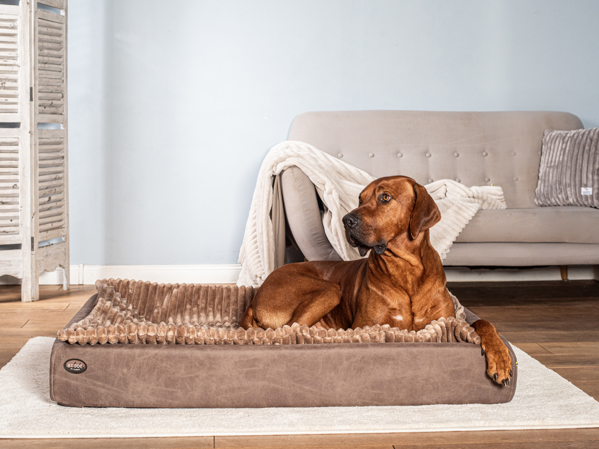 Hundebett KUDDE veganes Wildleder (weitere Ansicht)