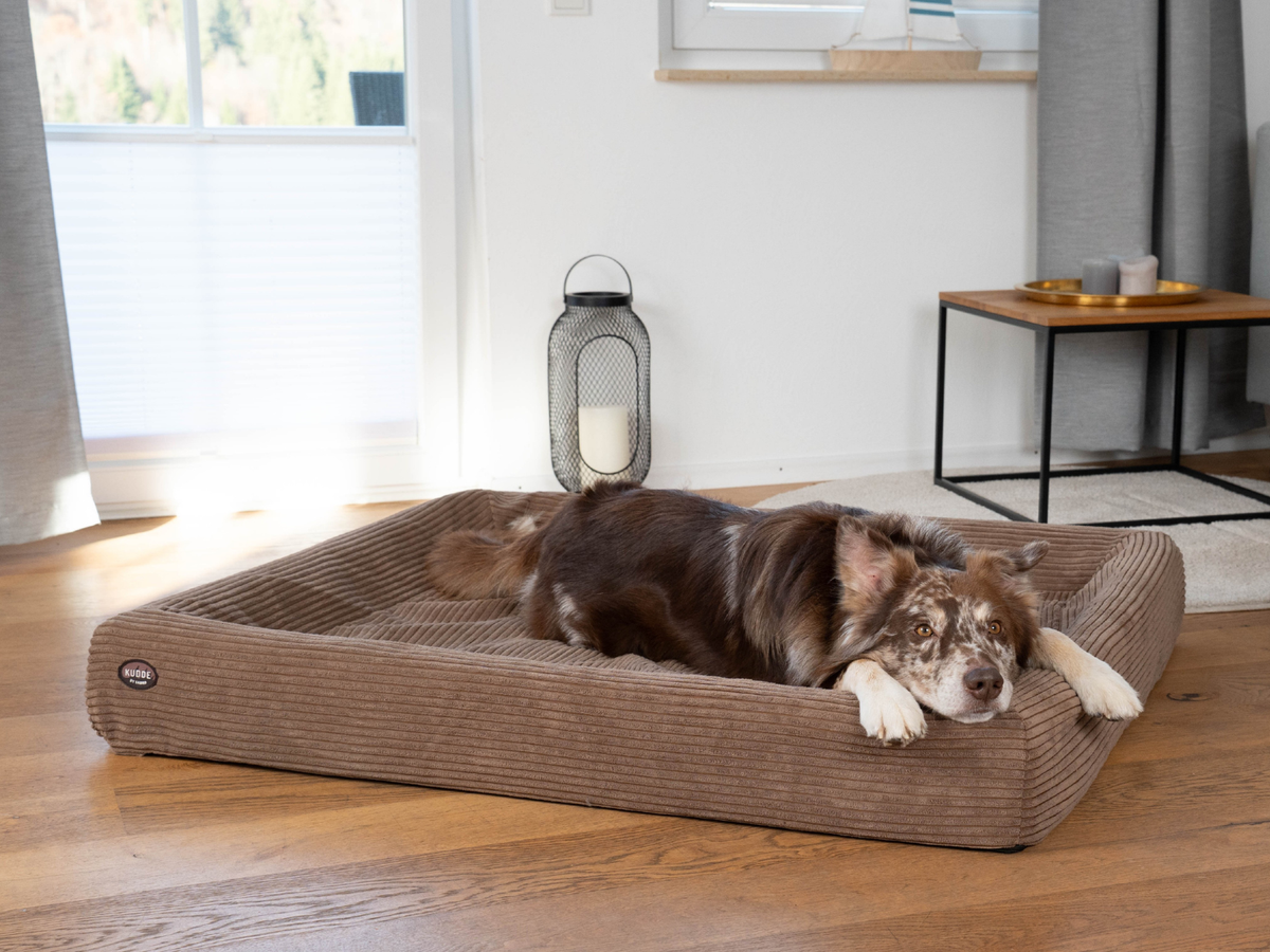 Hundebett KUDDE Cord