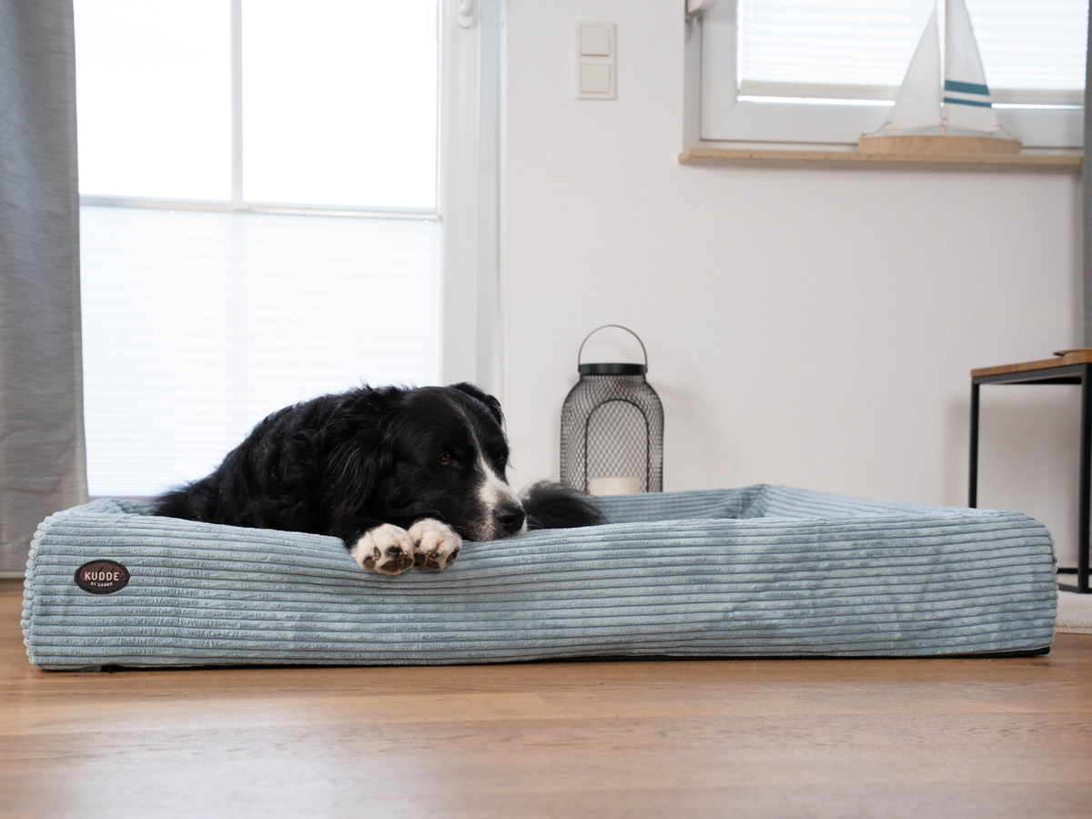Hundebett KUDDE Cord (weitere Ansicht)