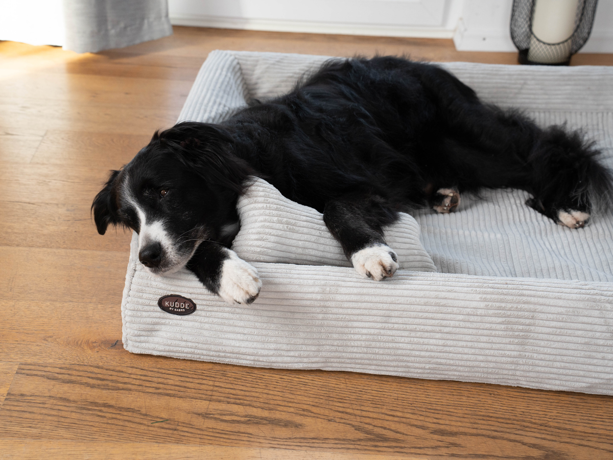 Hundebett KUDDE Cord (weitere Ansicht)