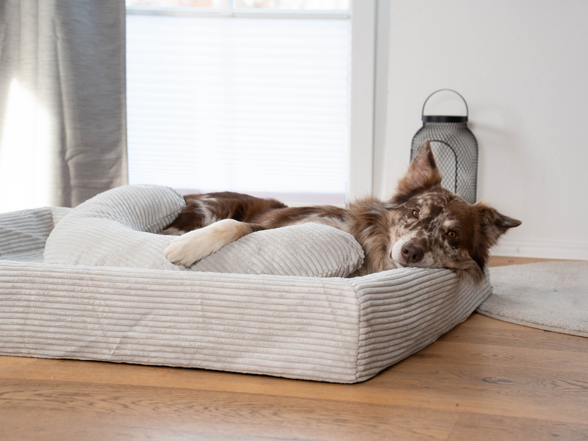 Hundebett KUDDE Cord (weitere Ansicht)