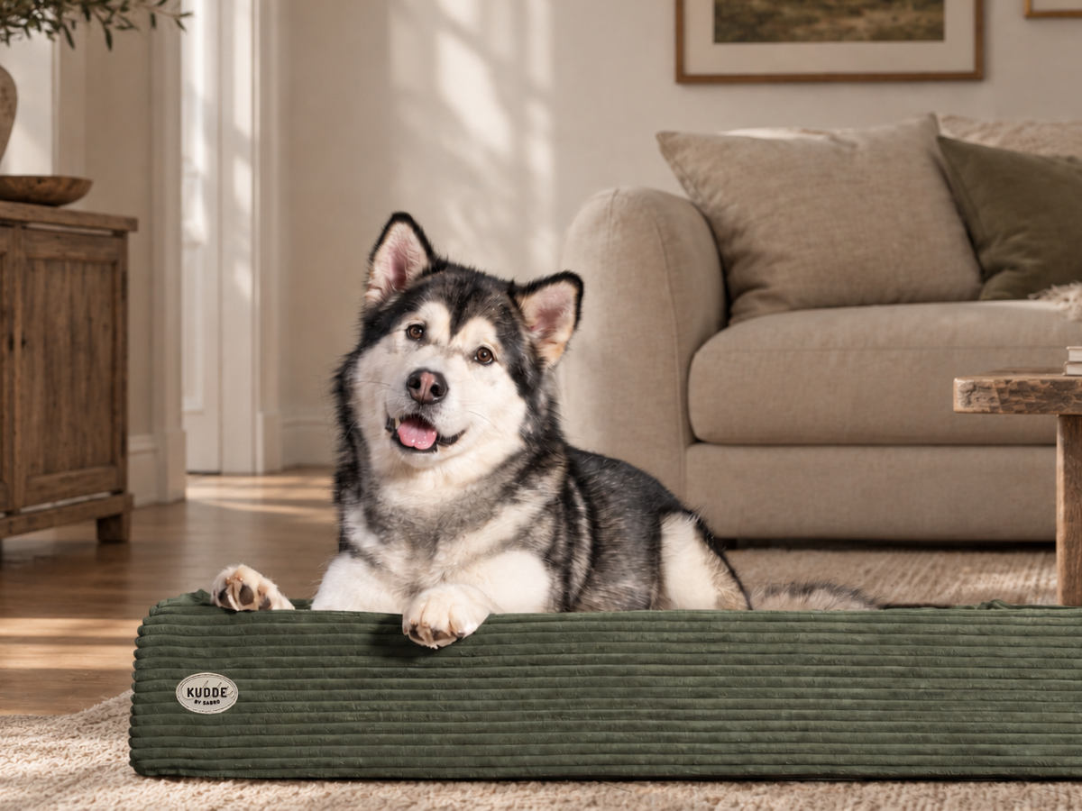 Hundebett KUDDE Cord (weitere Ansicht)