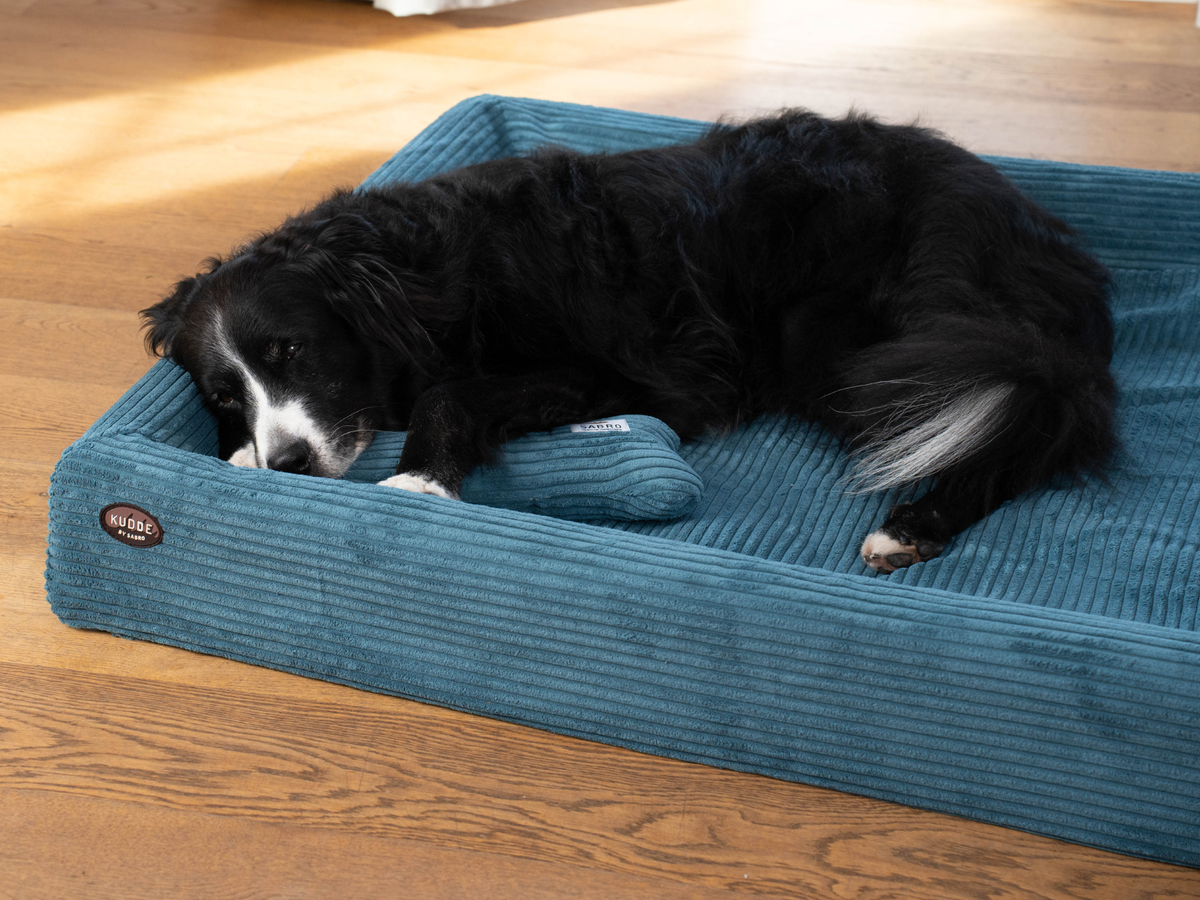 Hundebett KUDDE Cord (weitere Ansicht)