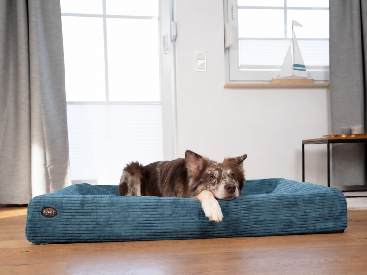Hundebett KUDDE Cord (weitere Ansicht)