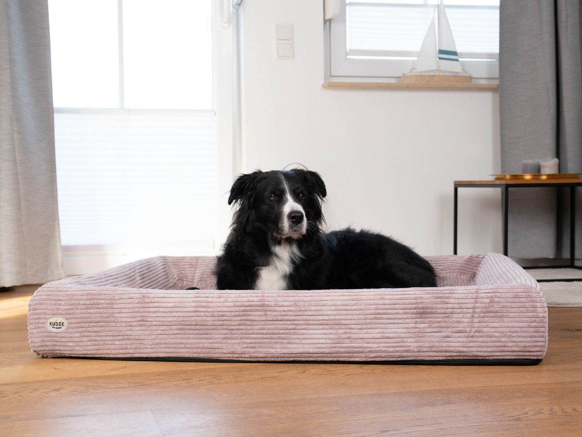 Hundebett KUDDE Cord (weitere Ansicht)