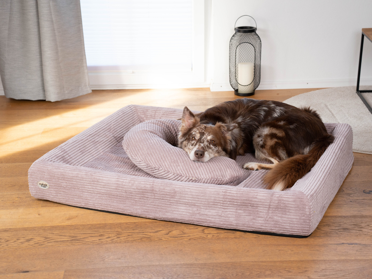 Hundebett KUDDE Cord (weitere Ansicht)