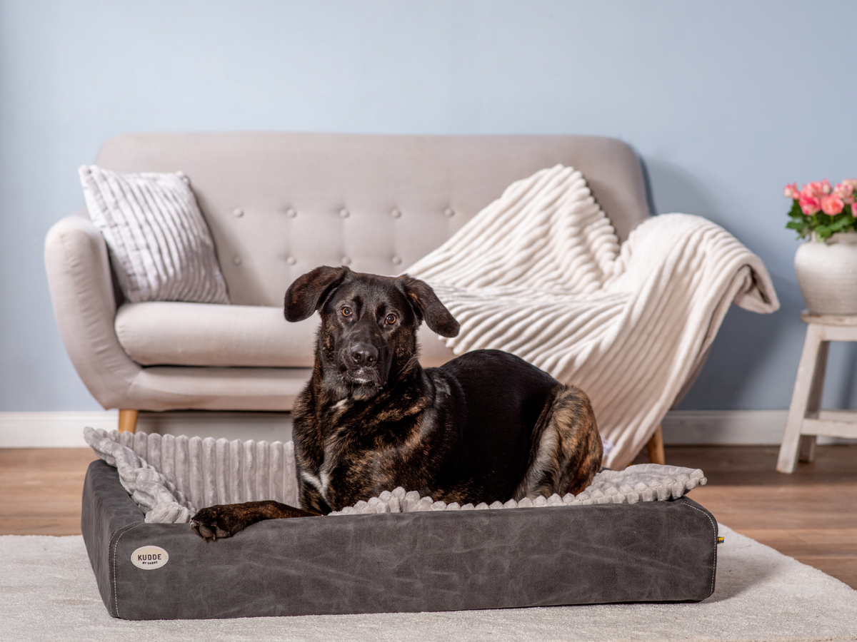 Hundebett KUDDE veganes Wildleder (weitere Ansicht)