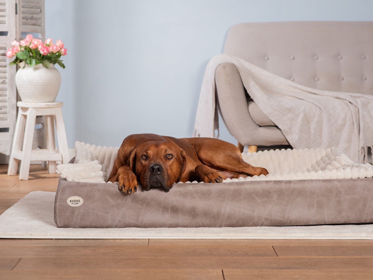 Hundebett KUDDE veganes Wildleder (weitere Ansicht)