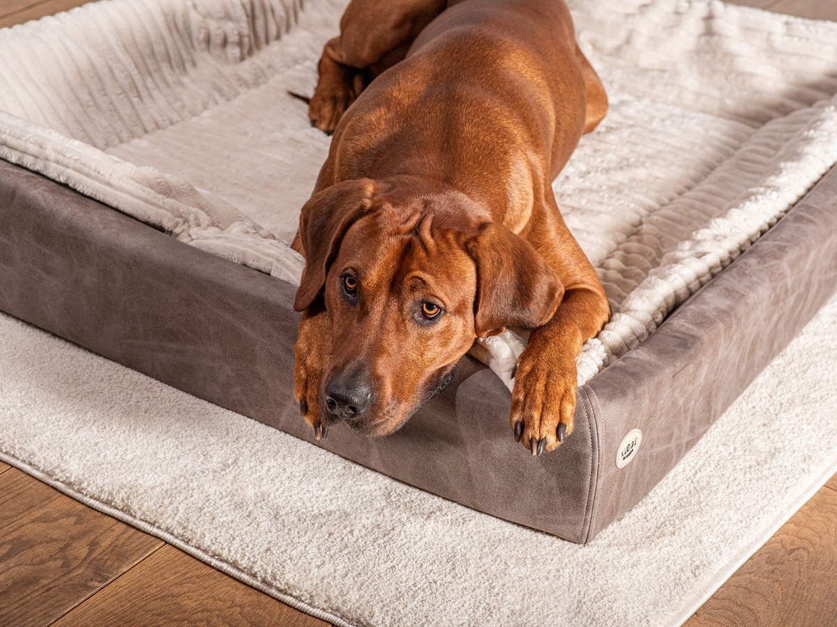 Hundebett KUDDE veganes Wildleder (weitere Ansicht)