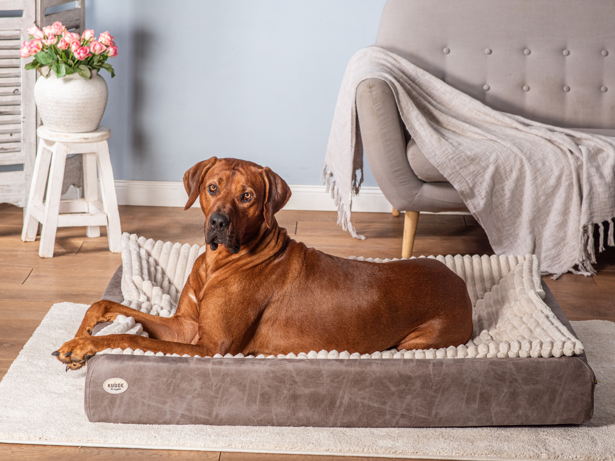 Hundebett KUDDE veganes Wildleder (weitere Ansicht)