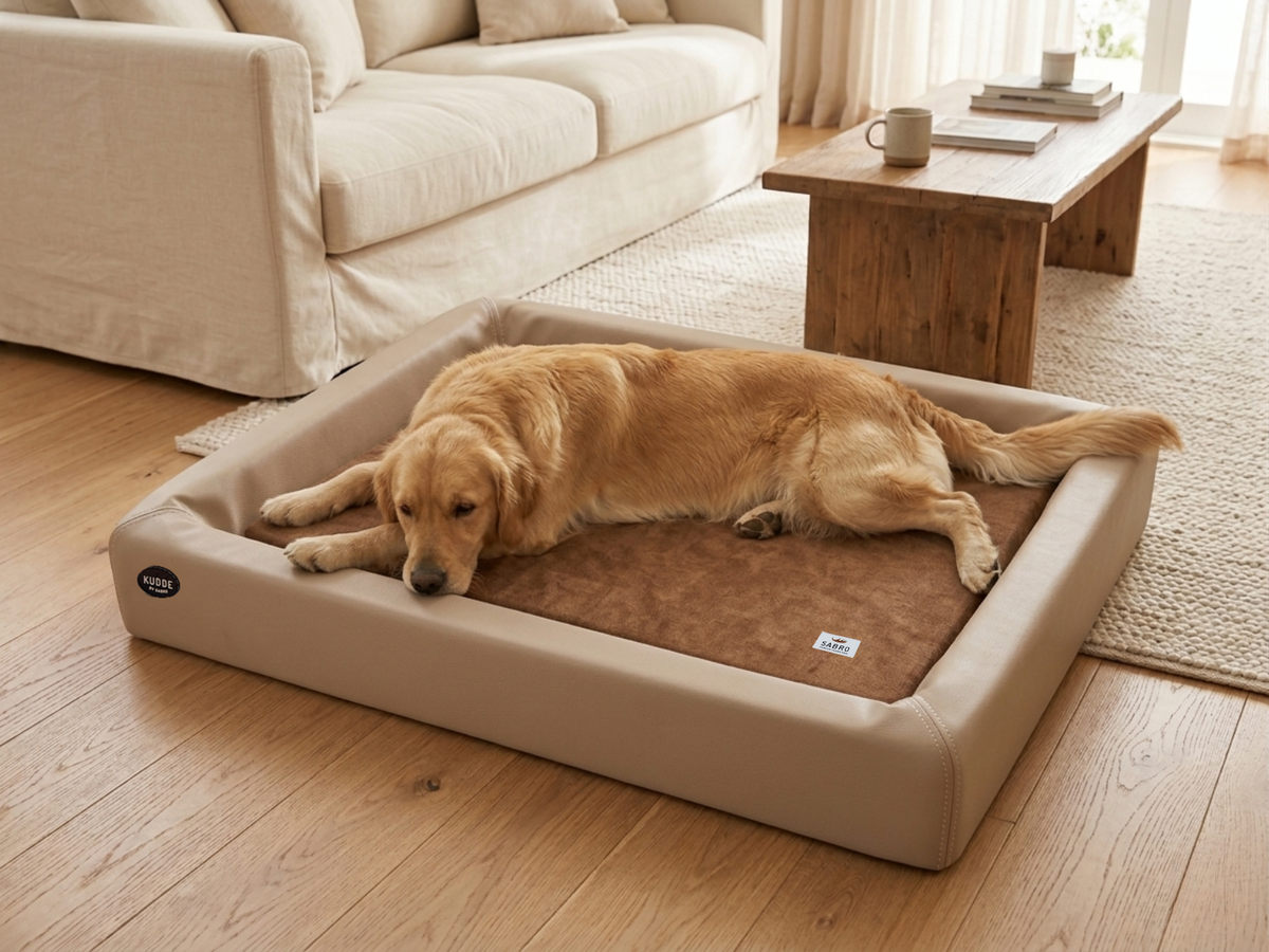 Orthopädisch-Plus Bundle | KUDDE Hundebett + Mumin Einlage Alltid