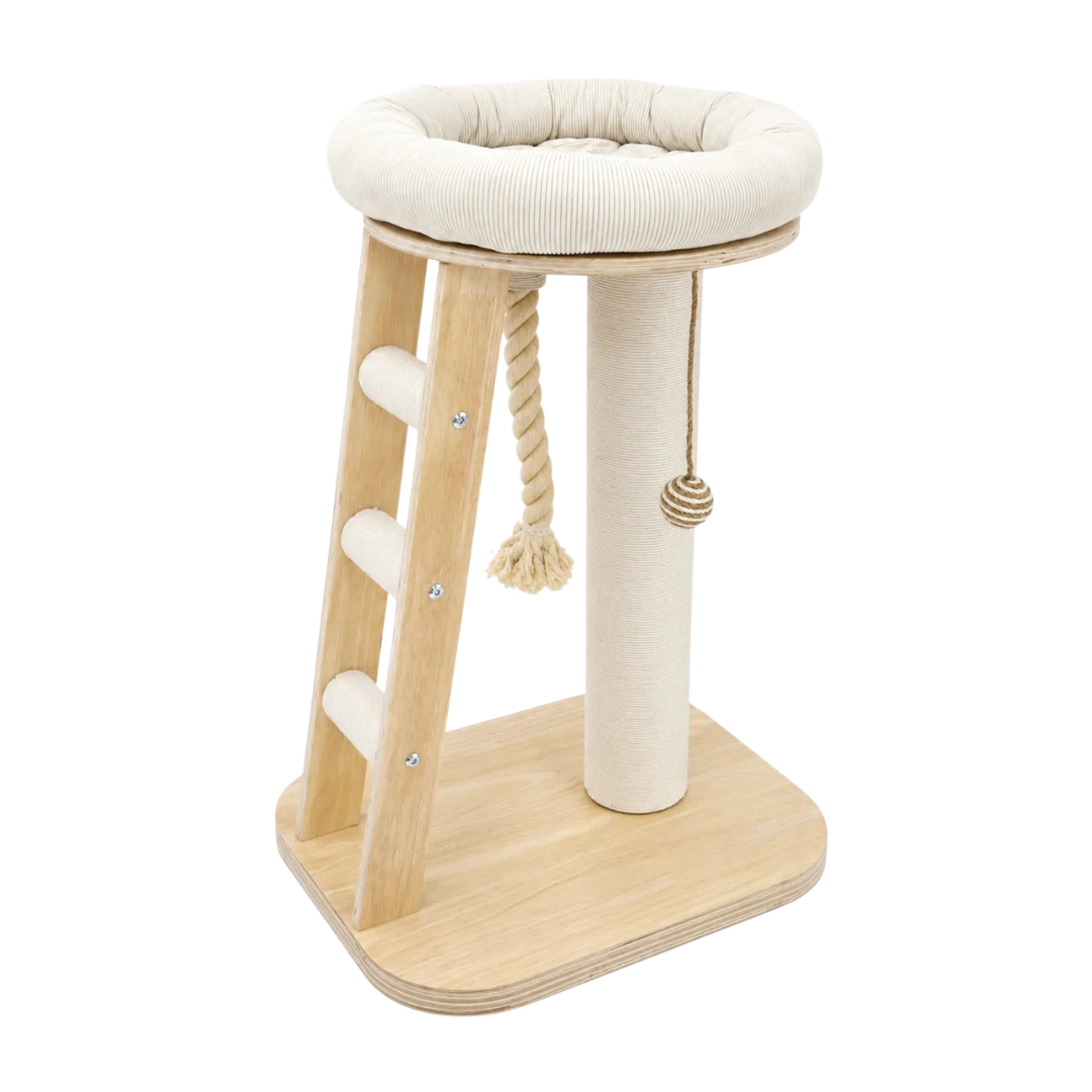 Kunert kleiner Kratzbaum mit Plattform, Spielzeug und Leiter - 72 x 39,5 x 48 cm