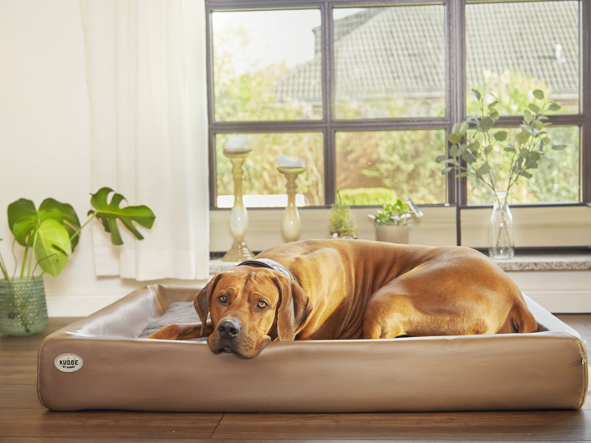 Hundebett KUDDE Kunstleder (weitere Ansicht)