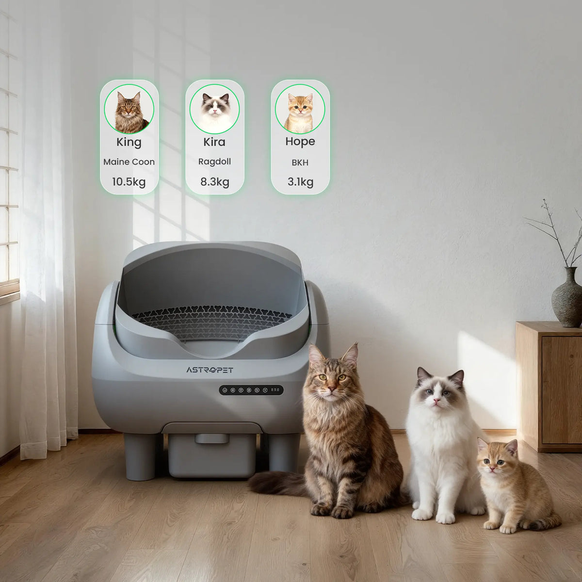 Venus - XXL Selbstreinigende Katzentoilette