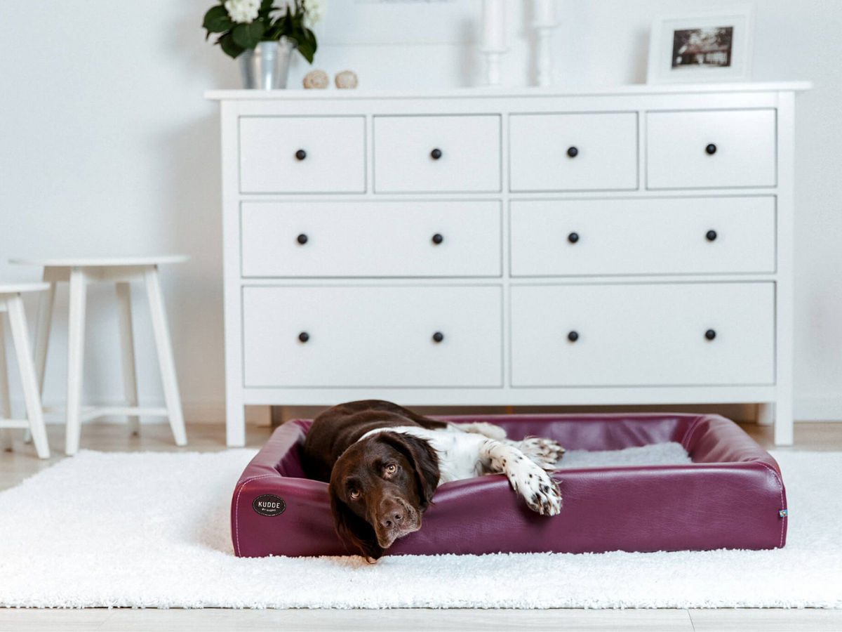 Hundebett KUDDE Kunstleder (weitere Ansicht)