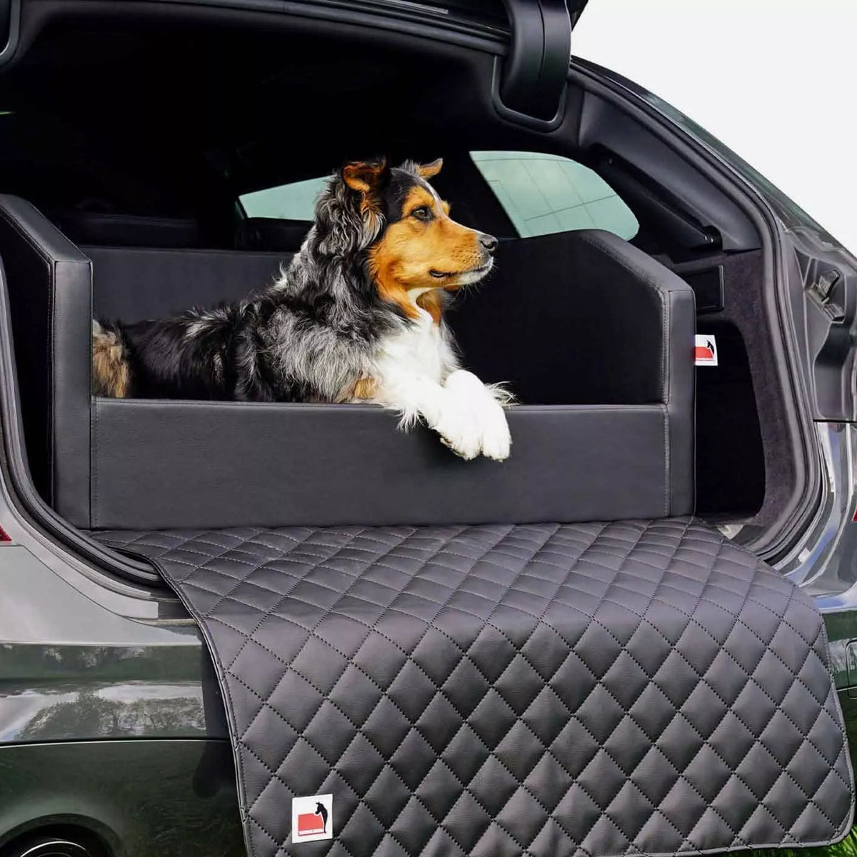 mypado Transportbox TRAVELMAT® Plus