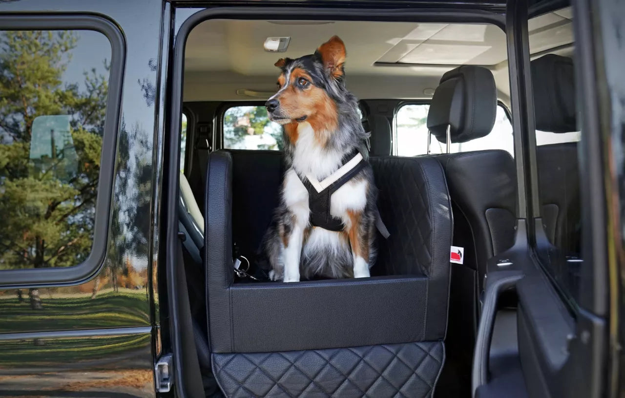 Autohundebett TRAVELMAT® RS Rücksitz