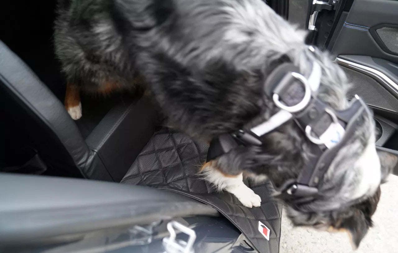 Autohundebett TRAVELMAT® RS Rücksitz