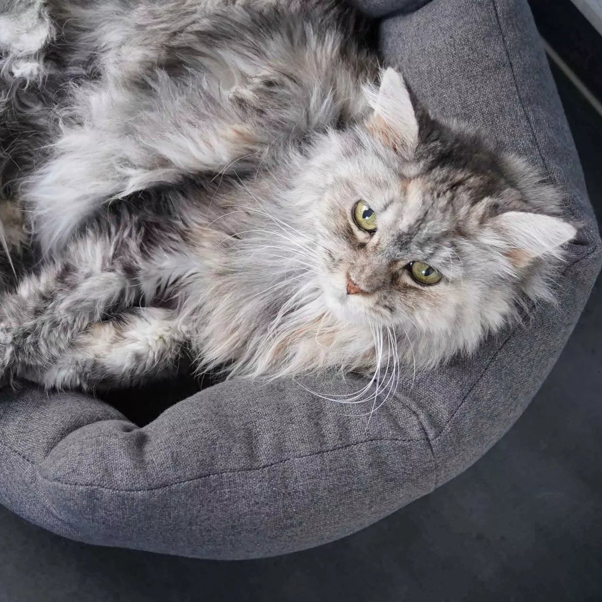 mypado Camino Silver Katzenbett