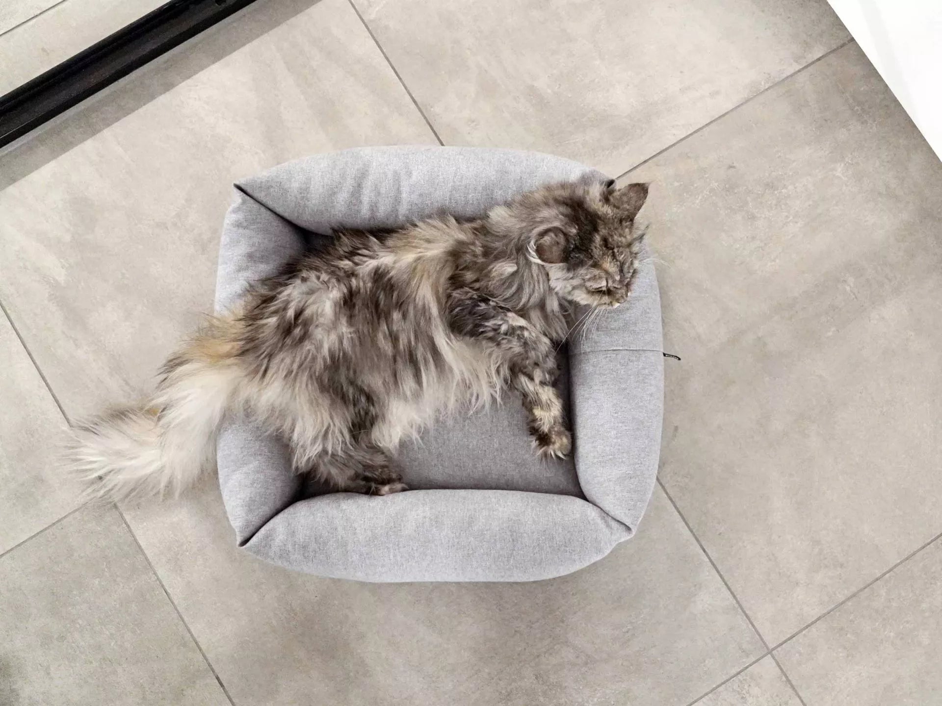 mypado Sena Silver Katzenbett Silber