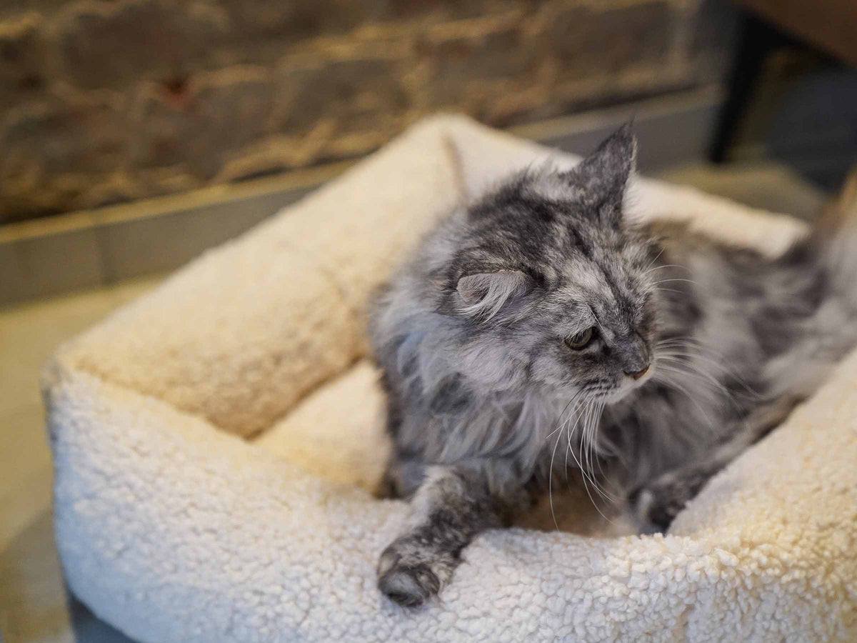 mypado Sena Woolly Katzenbett