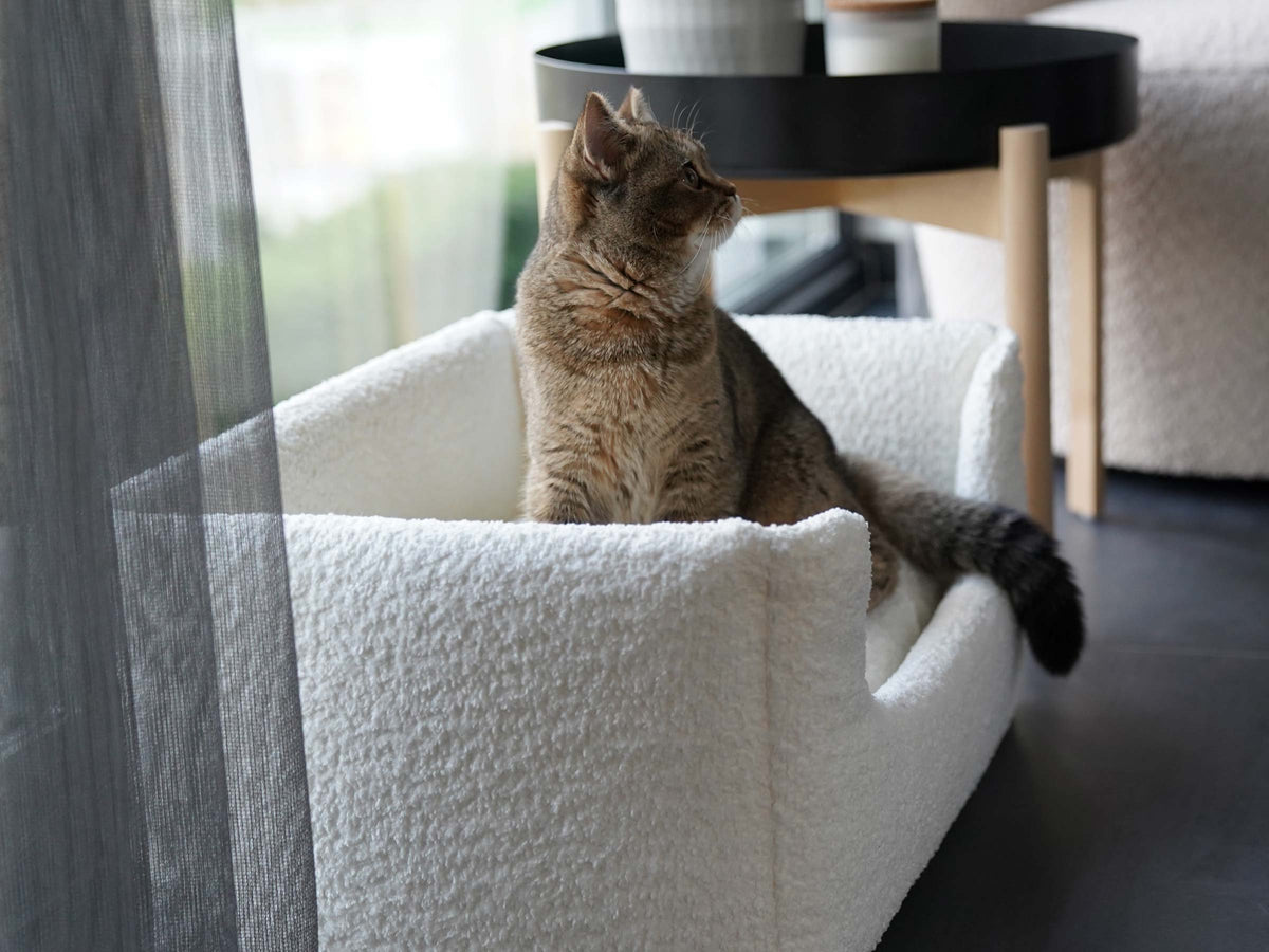 mypado Shara Bouclé Katzenbett