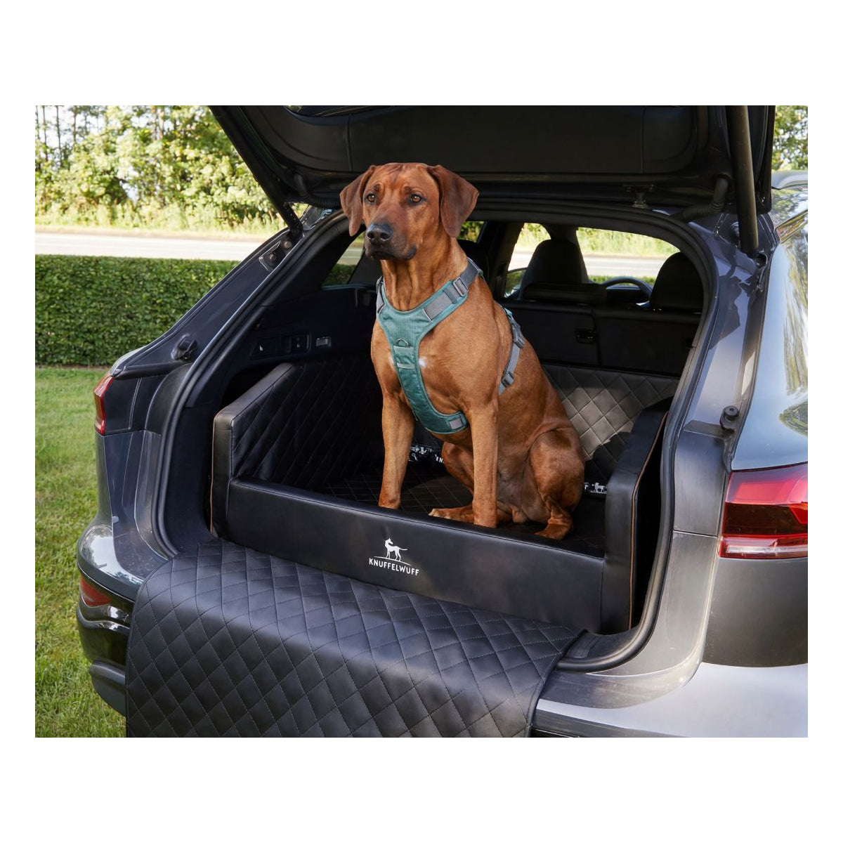 Knuffelwuff Cargo Hunde Auto Transportbox für den Kofferraum