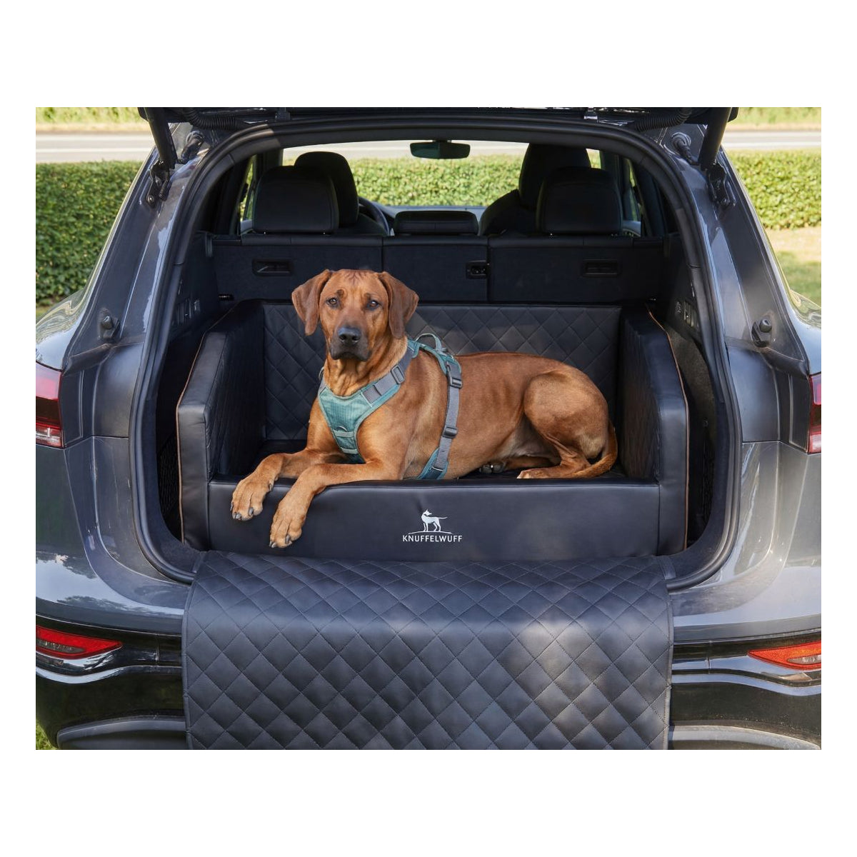 Knuffelwuff Cargo Hunde Auto Transportbox für den Kofferraum