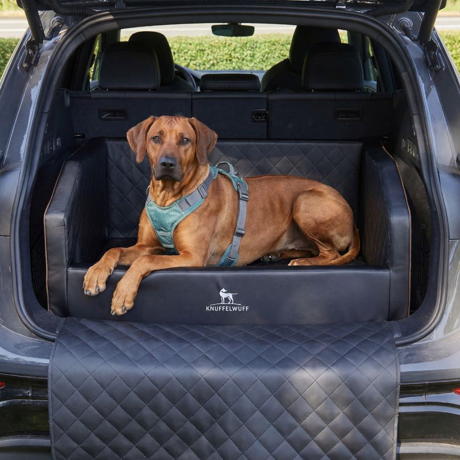 Knuffelwuff Cargo Hunde Auto Transportbox für den Kofferraum