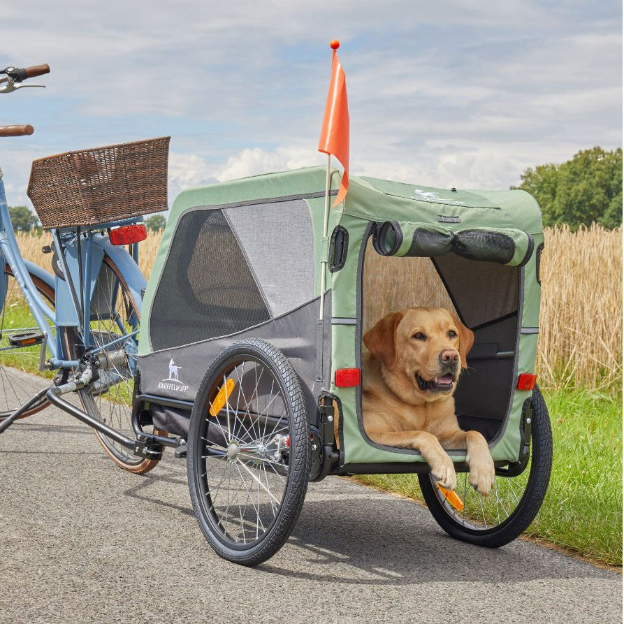 Knuffelwuff Cruvado L-XL komfortabler Hundeanhänger mit Stoßdämpfer Fahrradanhänger und Buggy für sichere Ausflüge mit dem Fahrrad