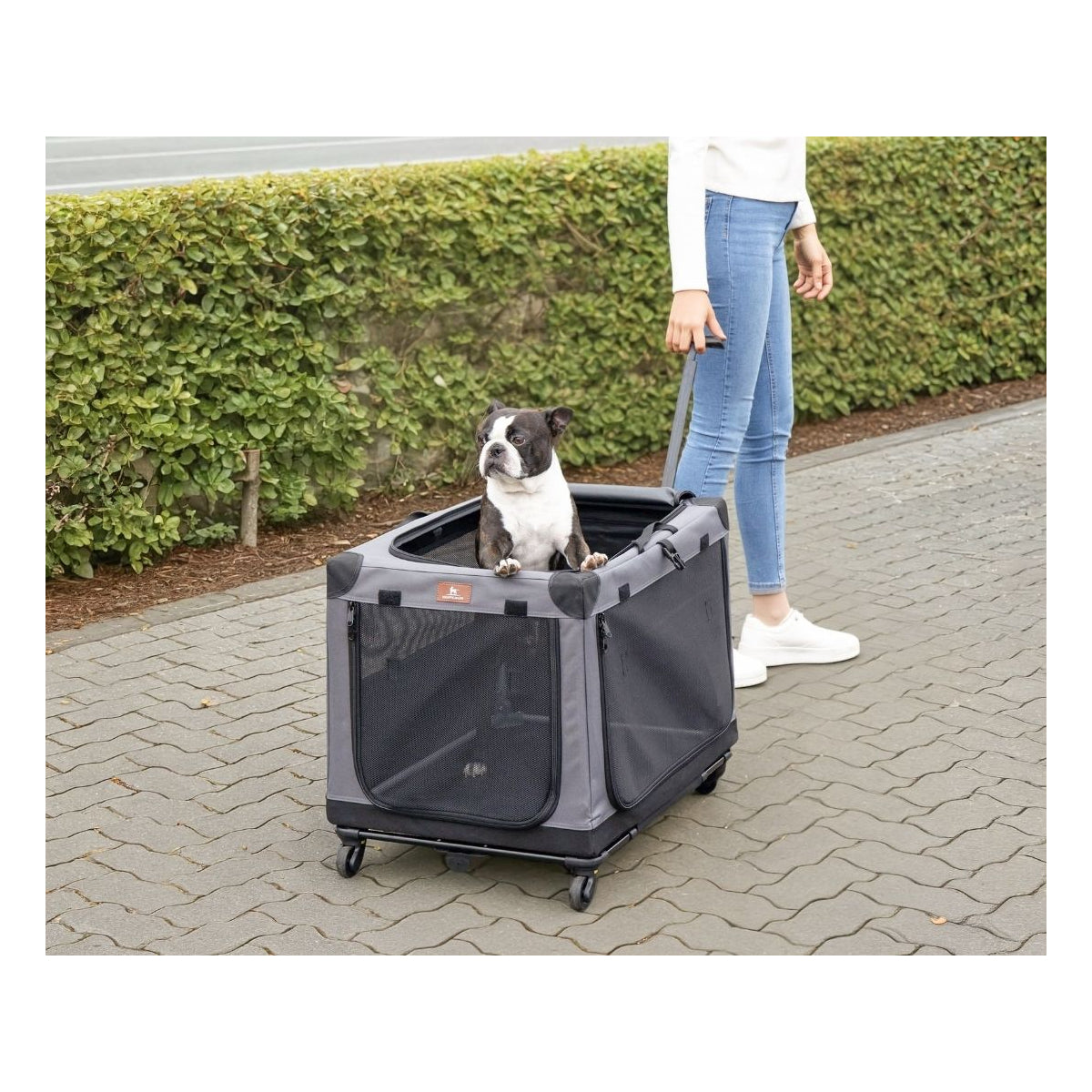 Knuffelwuff faltbarer Hunde Trolley Aberdeen – Transporttasche Hundewagen rollbar mit Griff & abnehmbarem Fahrgestell – S - 46 x 64 x 54 cm (Ansicht 8)