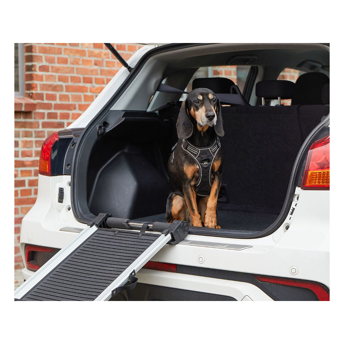 Knuffelwuff Hunderampe 70-158cm - Ausziehbare Teleskoprampe als Einstiegshilfe