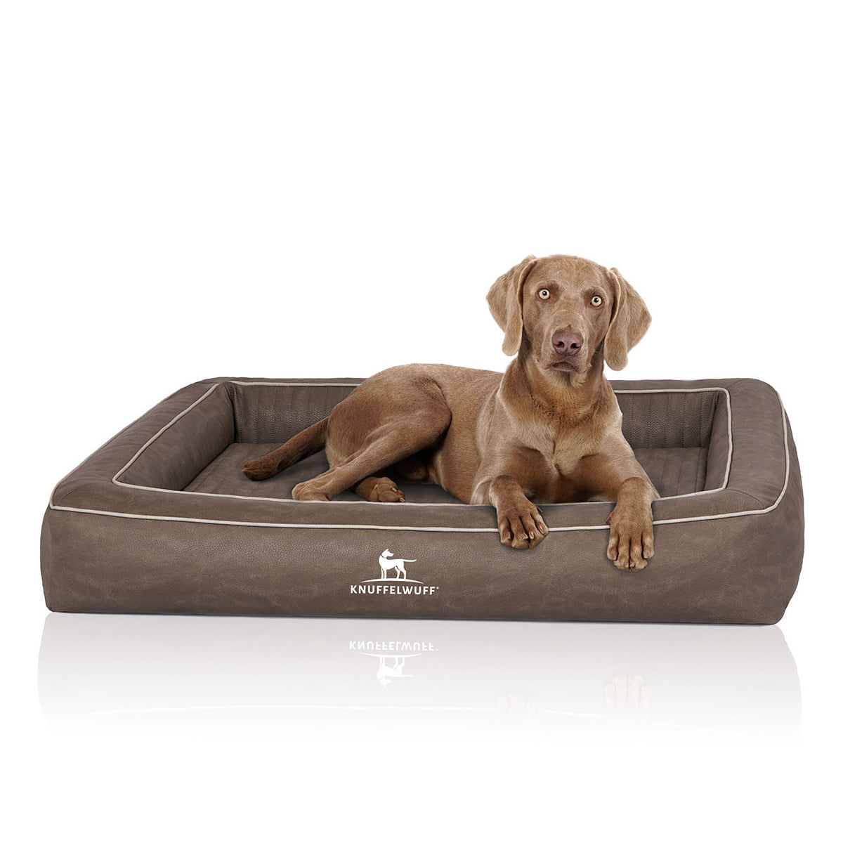 Knuffelwuff Hundebett Montego aus laser-gestepptem Kunstleder Braungrau XXXL