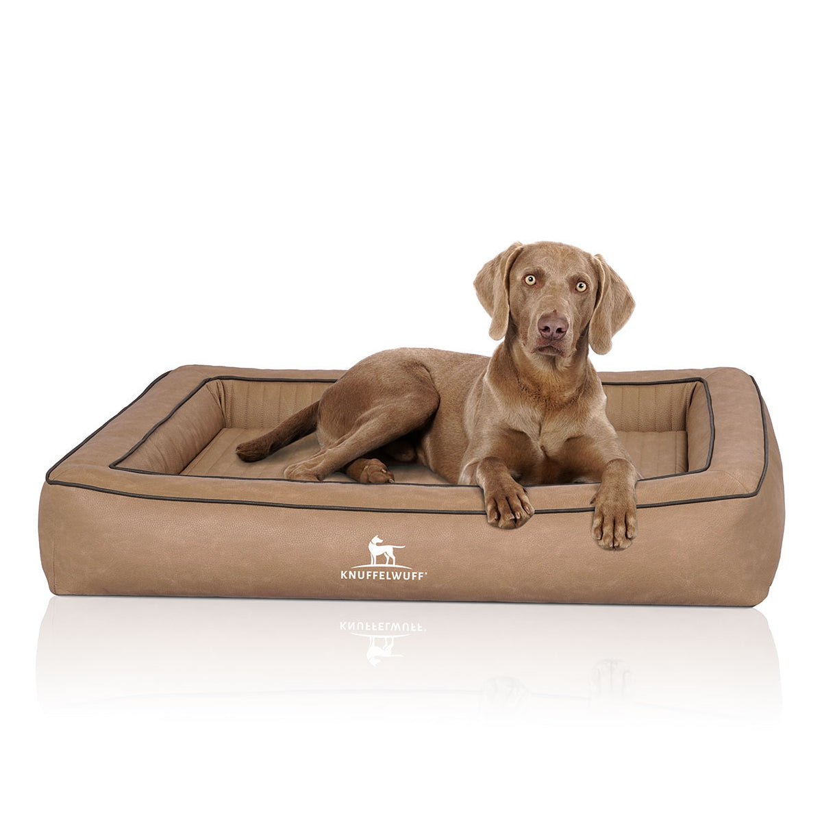 Knuffelwuff Hundebett Montego aus laser-gestepptem Kunstleder Camel XXXL