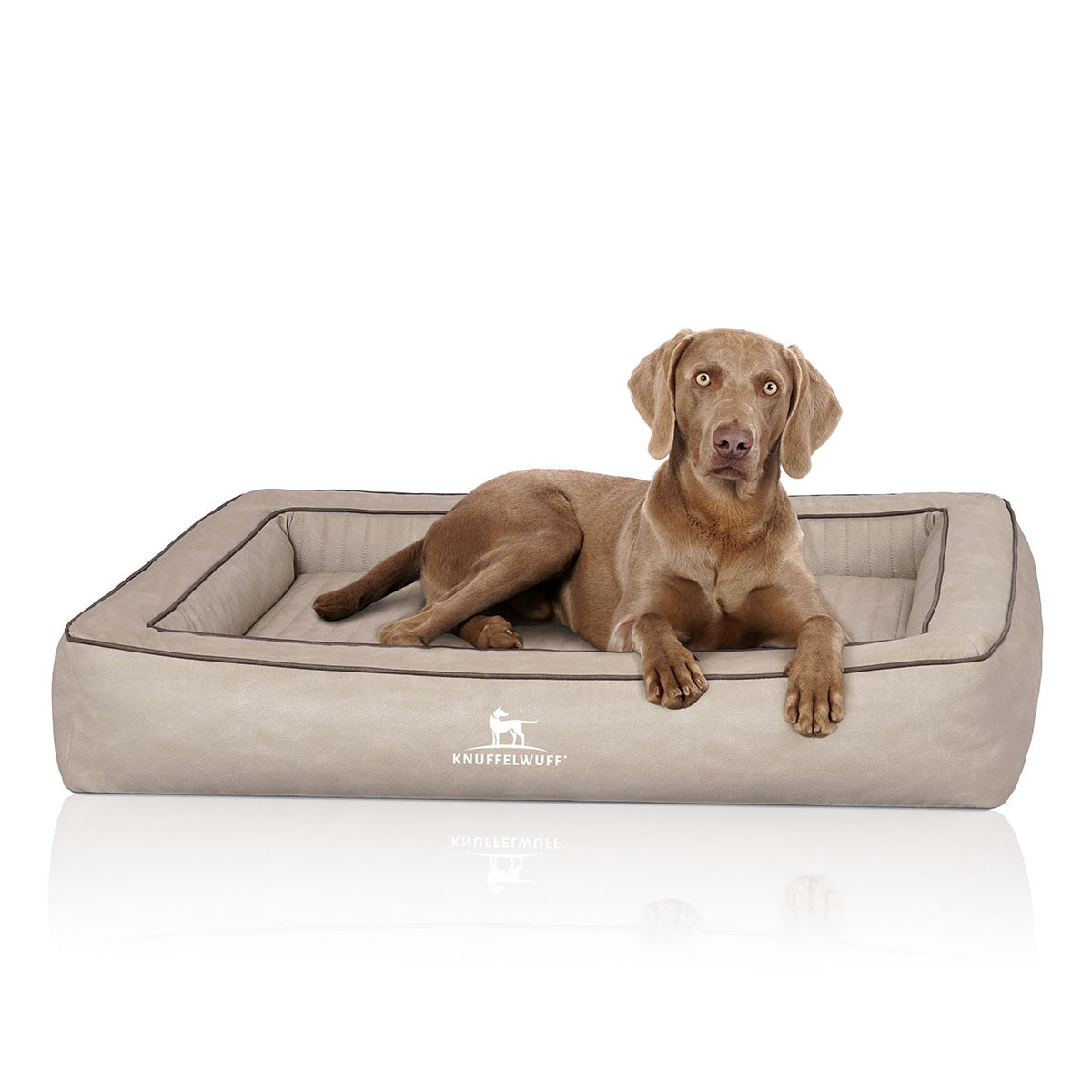 Knuffelwuff Hundebett Montego aus laser-gestepptem Kunstleder Grau XXXL