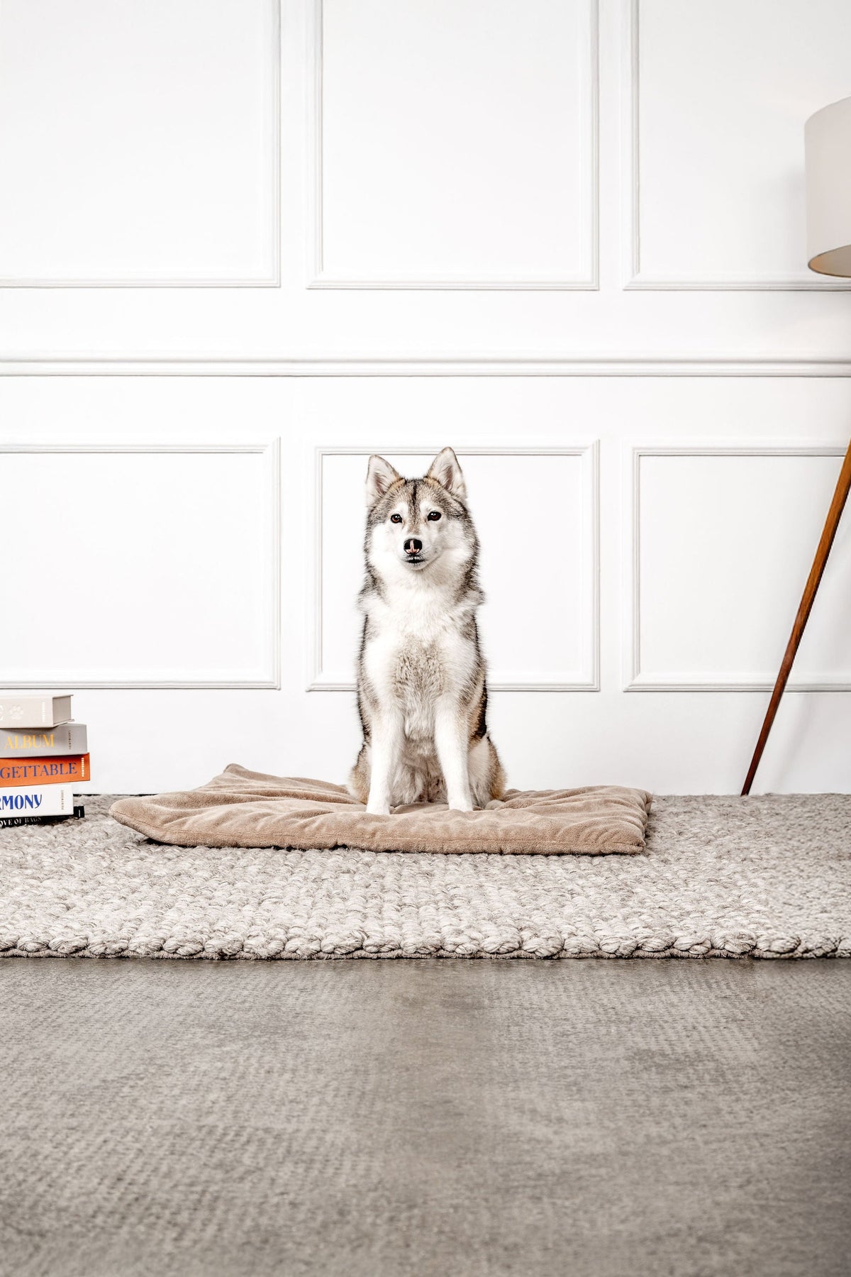 MOUNTAINDOG Hundedecke Emma Beige
