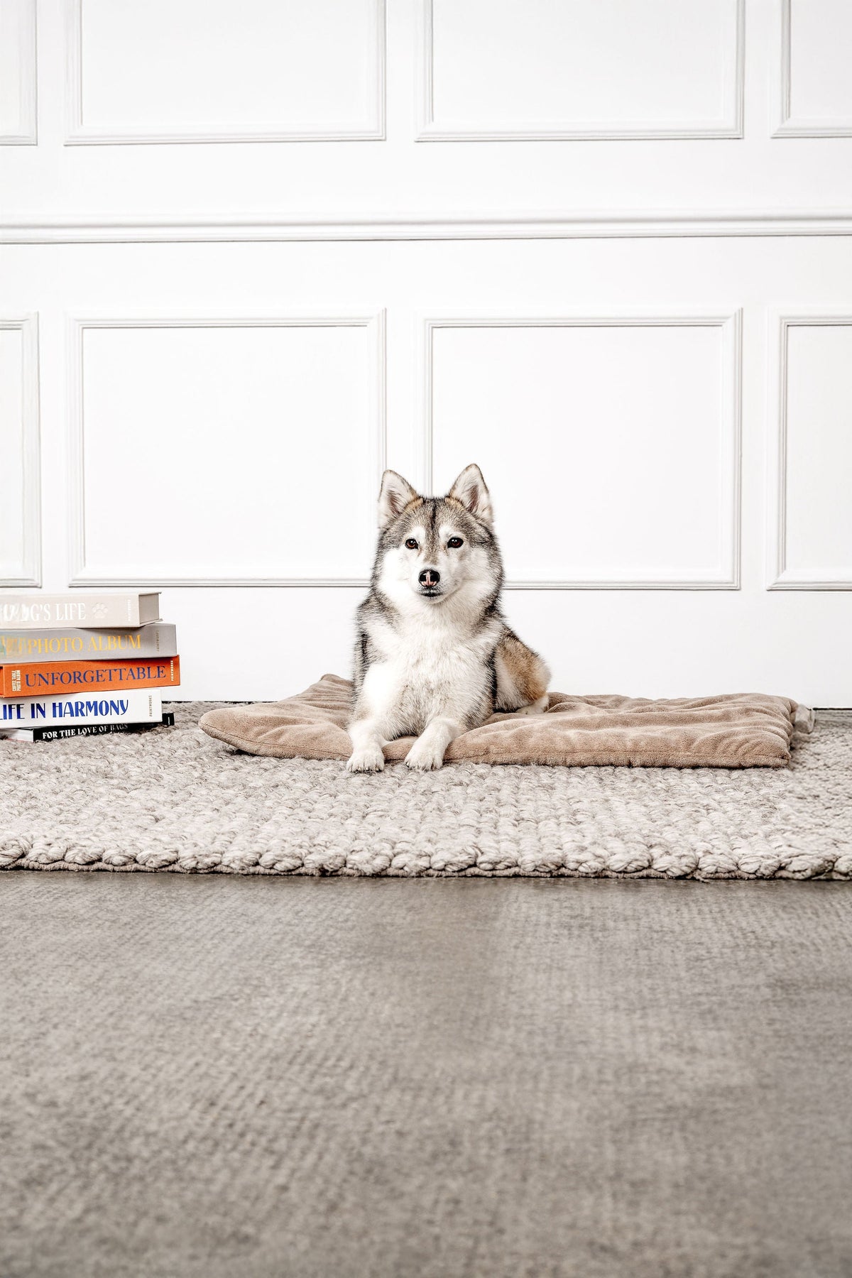MOUNTAINDOG Hundedecke Emma Beige