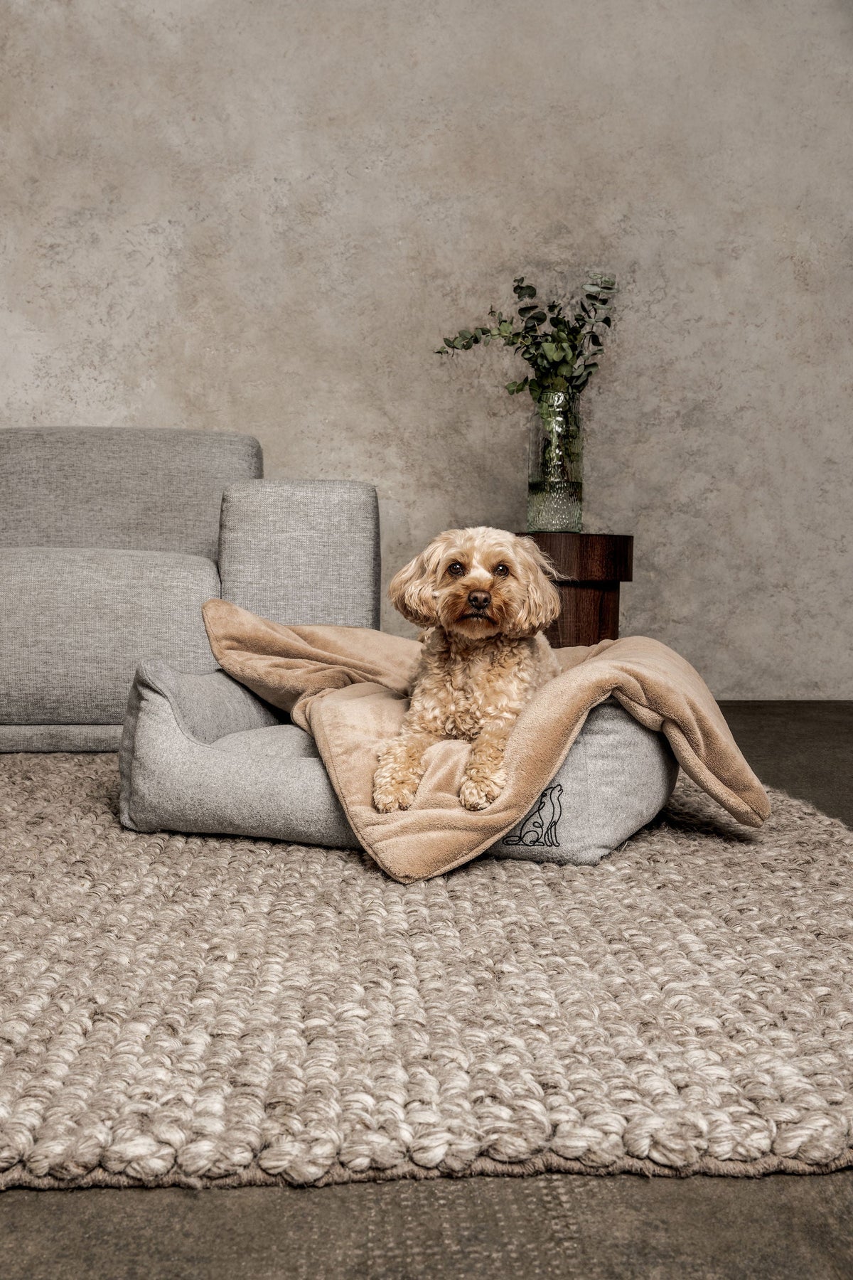 MOUNTAINDOG Hundedecke Emma Beige