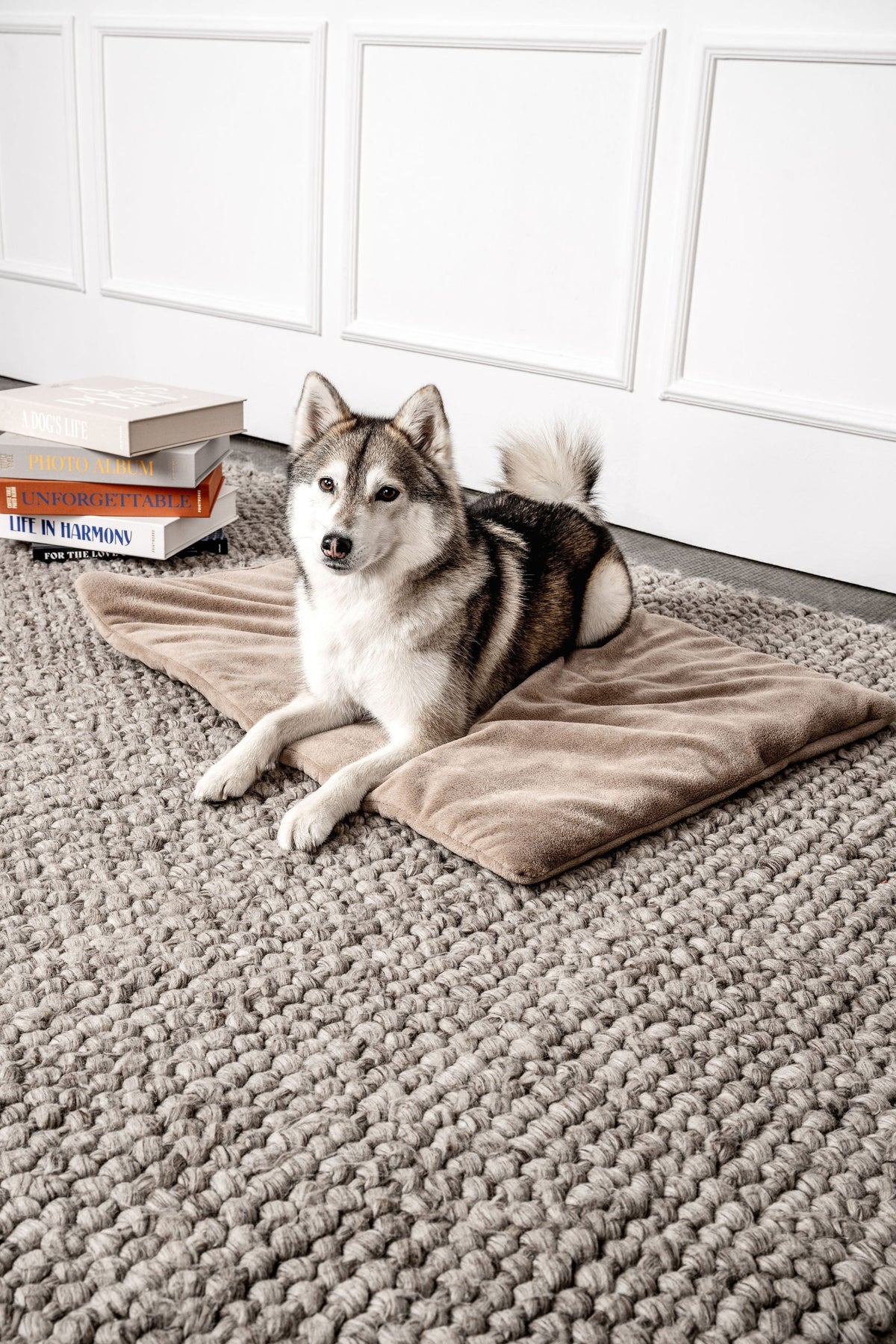 MOUNTAINDOG Hundedecke Emma Beige