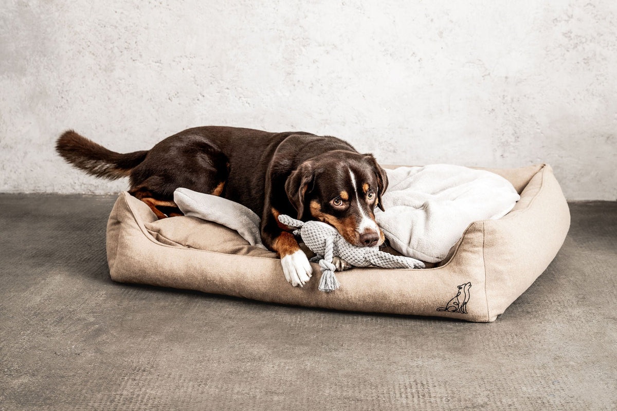 MOUNTAINDOG Hundedecke Emma Natur