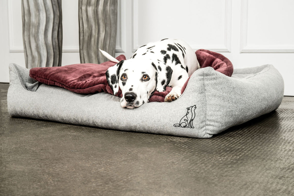 MOUNTAINDOG Hundedecke Emma Weinrot