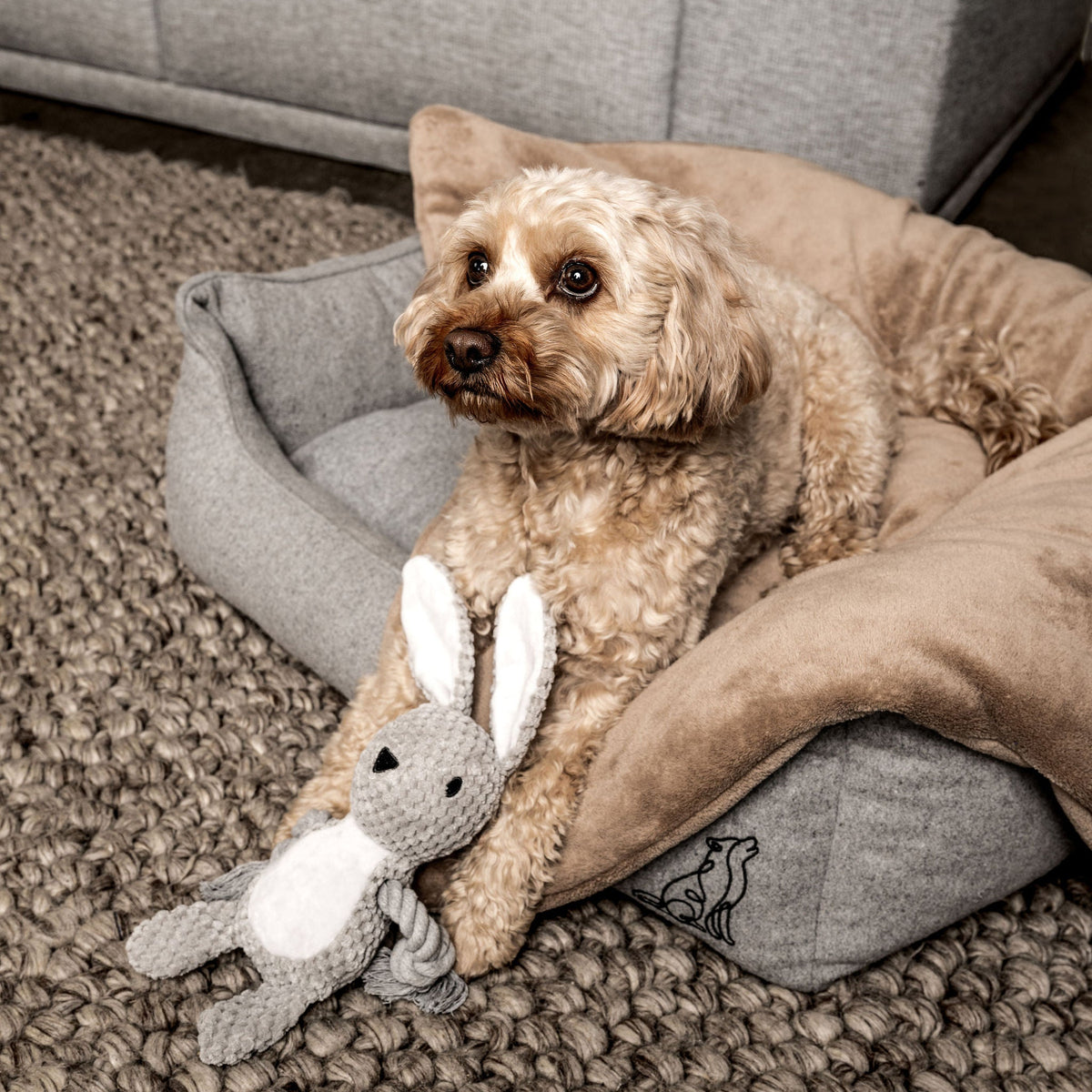 MOUNTAINDOG Hundespielzeug Hase Theo