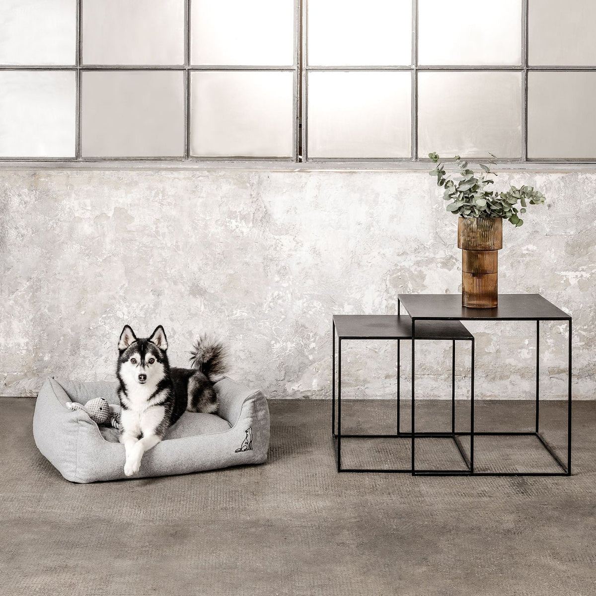 MOUNTAINDOG Hundebett Belle Hellgrau