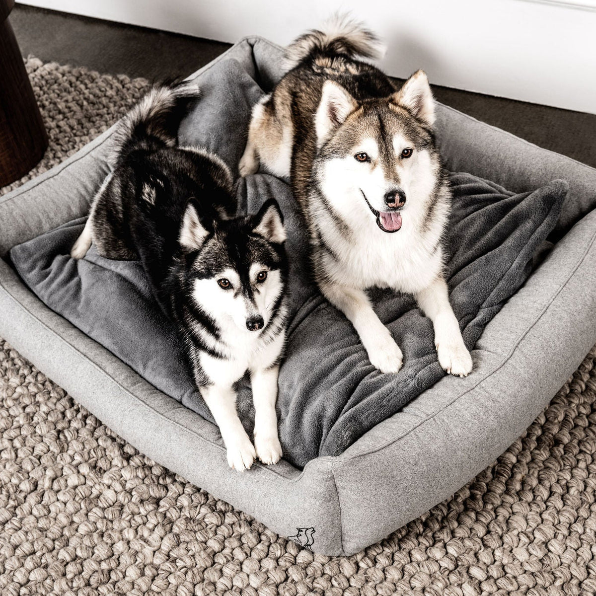 MOUNTAINDOG Dream-Duo Mix&Match