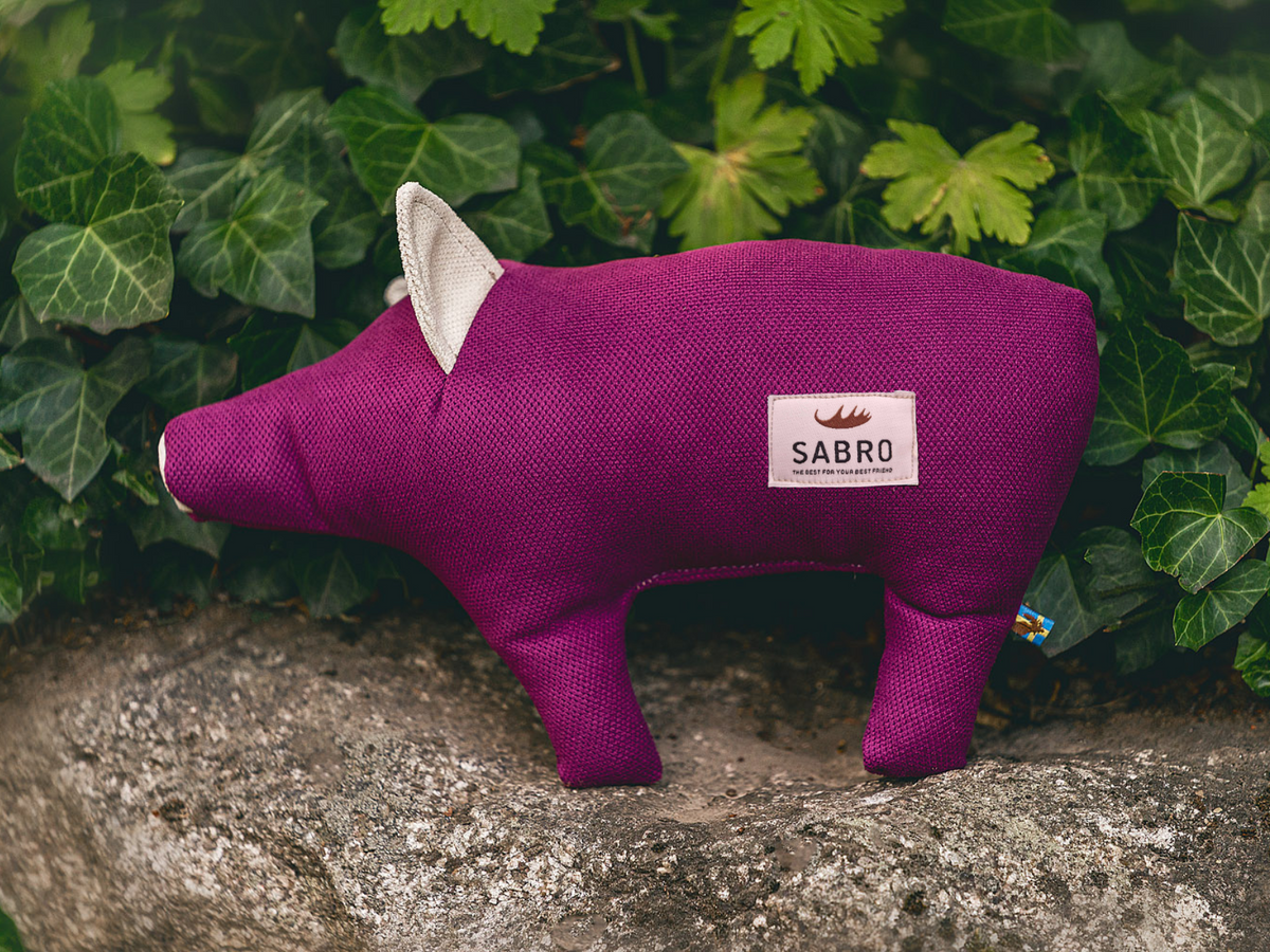 Schwein DÖRTE (weitere Ansicht)