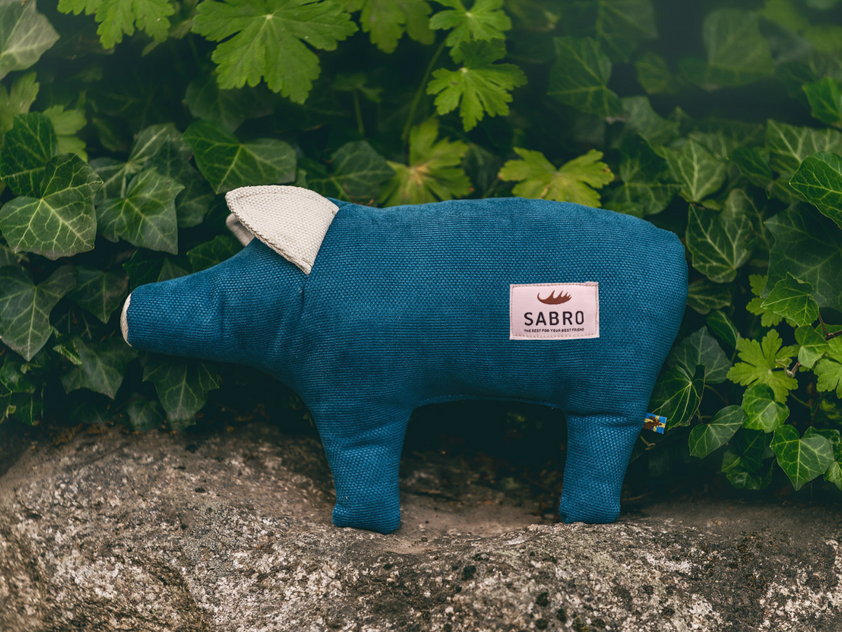 Schwein DÖRTE (weitere Ansicht)