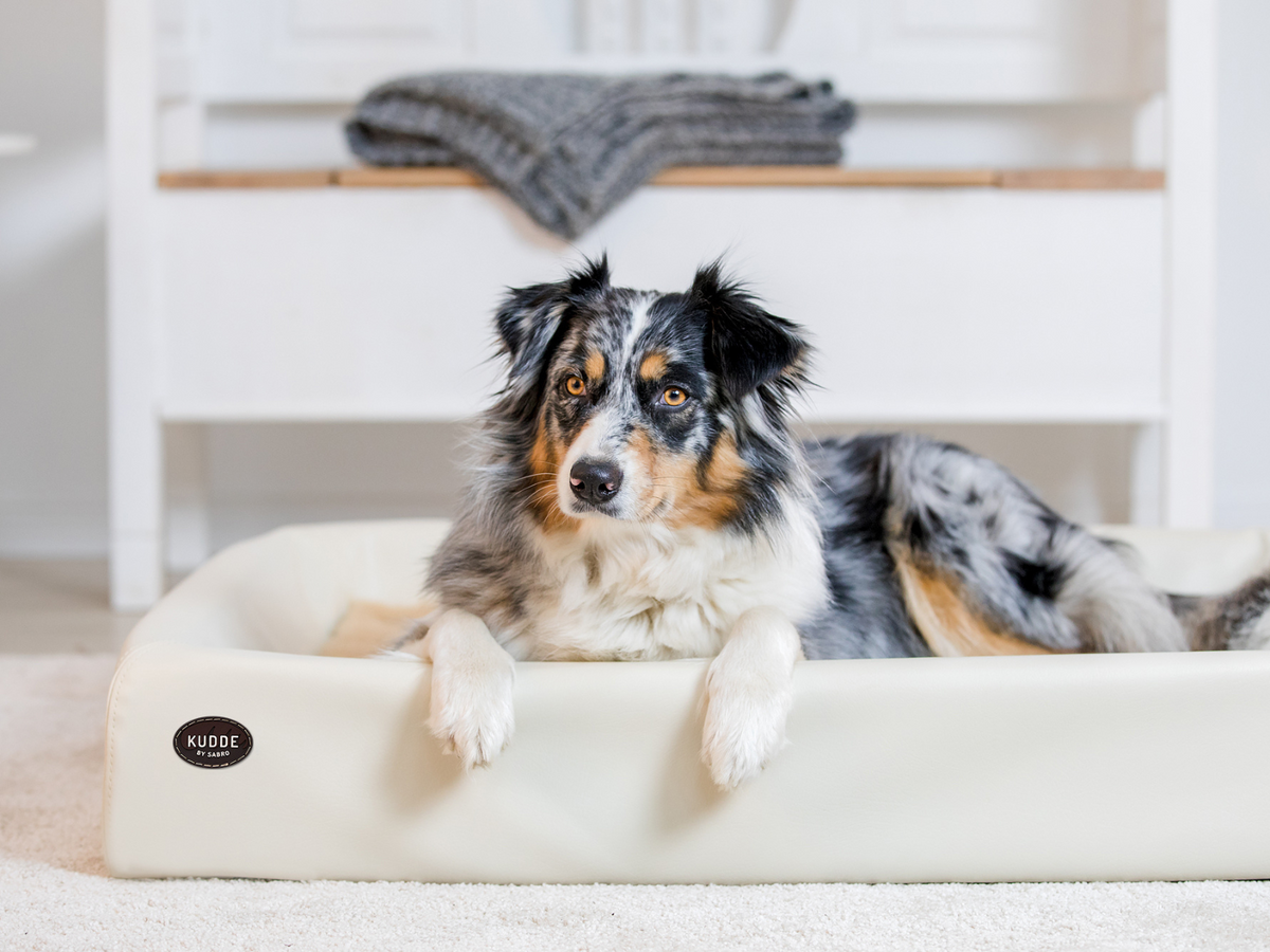 Hundebett KUDDE Kunstleder (weitere Ansicht)