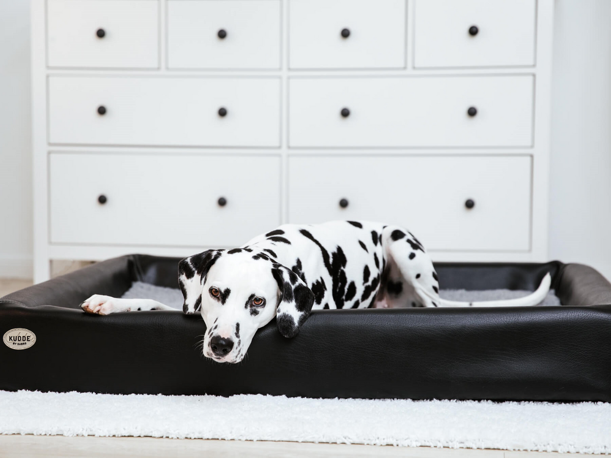 Hundebett KUDDE Kunstleder (weitere Ansicht)